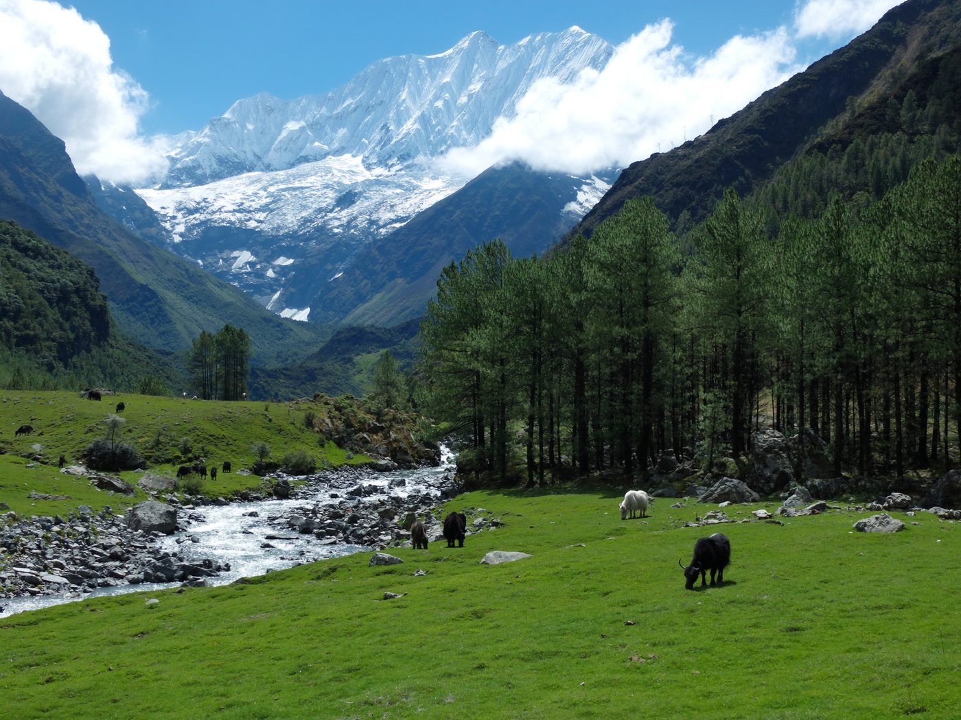 Langtang Valley Trek